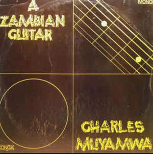 A Zambian Guitar by Charles Muyamwa.jpg
