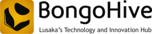 BongoHive-logo.png