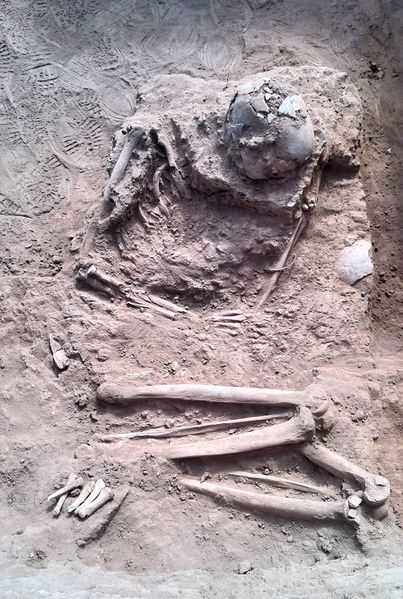 File:Jul 2016 skeleton at Ingombe Illede.jpg